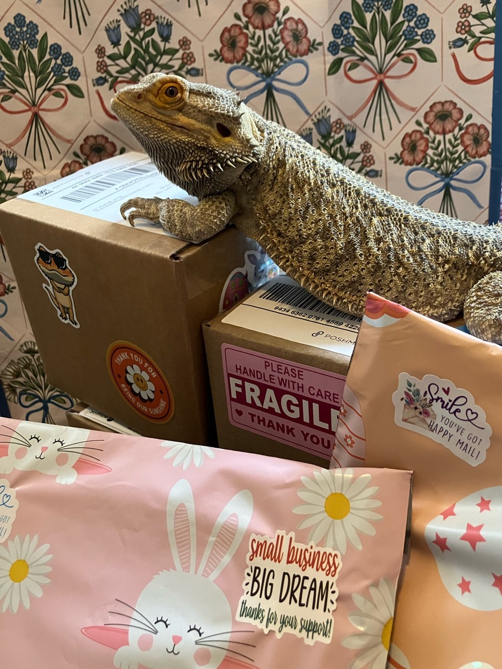 Paige and Hector are live!! ❤️🦎 - Picture 3 of 5